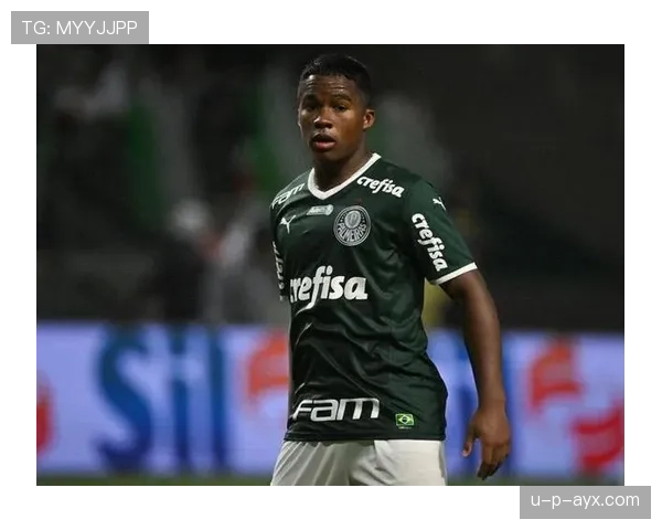 巴甲新星恩德里克射门热点区域解析 揭秘未来之星的进攻密码