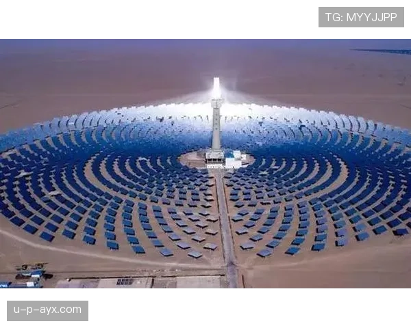 安东尼奥·诺里推新策引领全球可持续发展变革