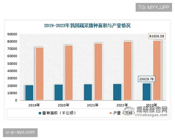 捷克女足传统底蕴与近期发展态势分析
